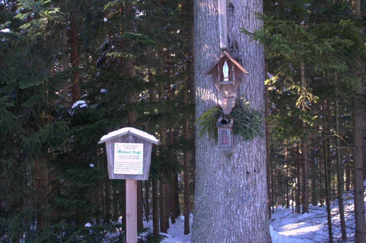 Erlebnispension Zum Wanderer Sepp Arnbruck Extérieur photo